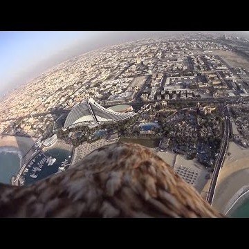 Freedom Eagle Dubai – Sony